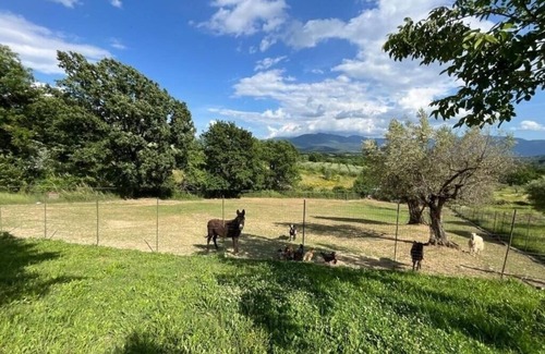 Colli al Volturno Bed & Breakfast | Standard quadruple