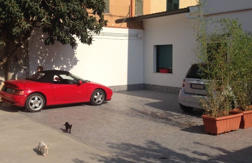 Palermo House | Stardust Home. Relax & Comfort. Free wi-fi & swimming pool