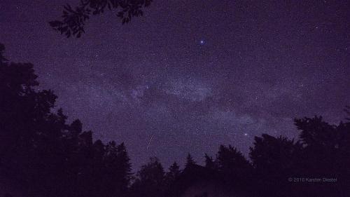 Regen Other | stargazing - meadow bed