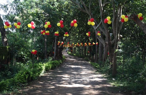 Taptapani Resort | STARLING FOREST RESORT