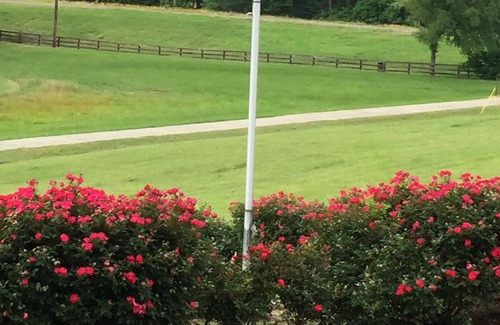 Buffalo Other | Stately Loghouse w/Private Hot Tub, and Fishing Pond on 90 Acre Ranch