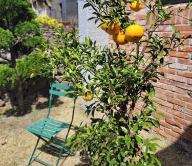 Jeju City House | Stay by J