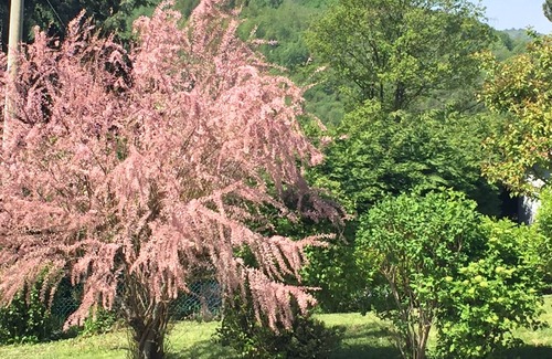 Piamaggio Bed & Breakfast | Stay in the Apennines