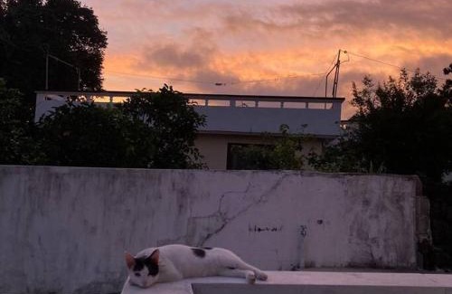 Jungmun House | Stay JungEui