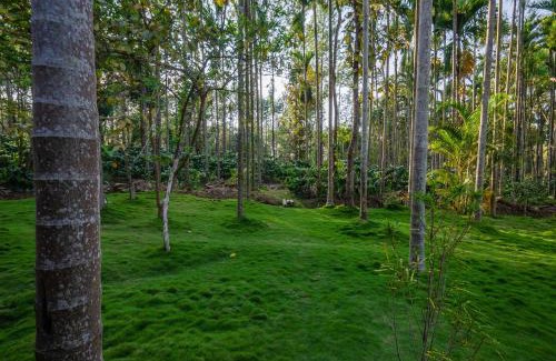 Madapura Villa | StayVista at Tall Silver with Infinity Pool & Breakast