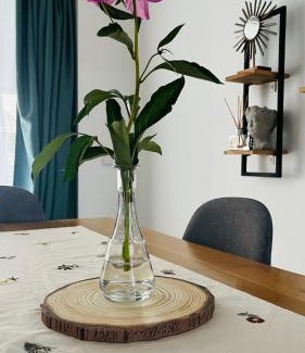 Selimbar Apartment | Stefan s Cozy Nest