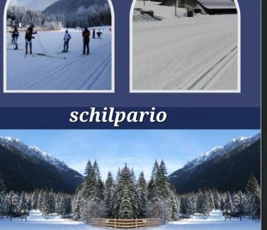 Schilpario Apartment | Stella alpina