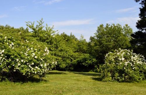 Deep Brook Cabin | Still Point Lodge
