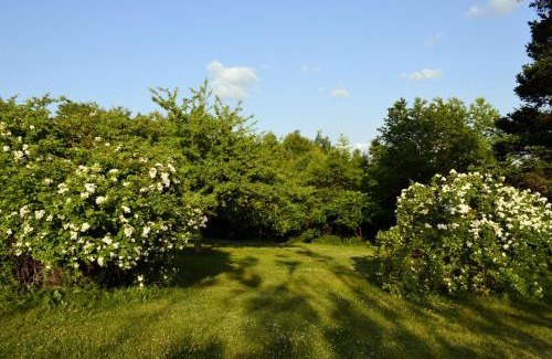 Deep Brook Cabin | Still Point Lodge