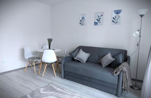 Tirgu Mures Apartment | Stone Hill Apartment