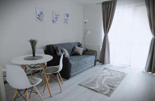 Tirgu Mures Apartment | Stone Hill Apartment