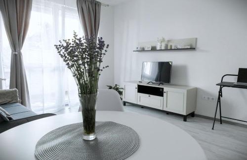 Tirgu Mures Apartment | Stone Hill Apartment