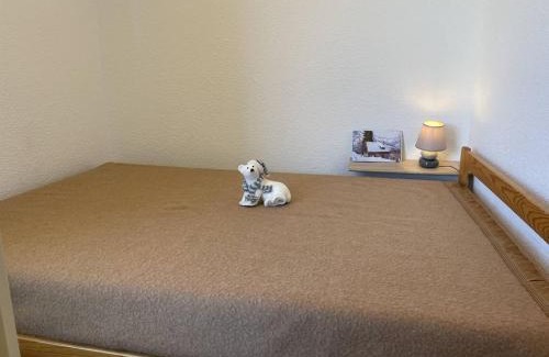 Puy-Saint-Vincent Apartment | Studio à Puy Saint Vincent 1700, 4 pers, balcon, proche pistes, parking, navette, TV, cuisine équipée - FR-1-330G-11