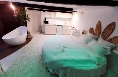Les Arcs-sur-Argens Apartment | Studio équipé avec Lit rond/baignoire ilot/Table massage Aux Arcs