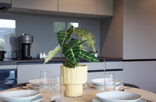 Aarau Apartment | Studio 111 loft with views over Aarau