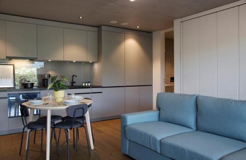 Aarau Apartment | Studio 111 loft with views over Aarau