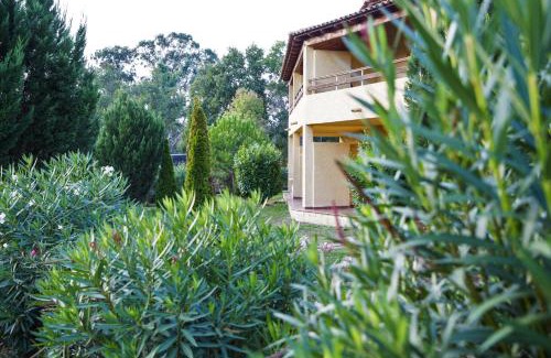 Ghisonaccia Apartment | Studio 2 people - 150 m from de sea - Ghisonaccia