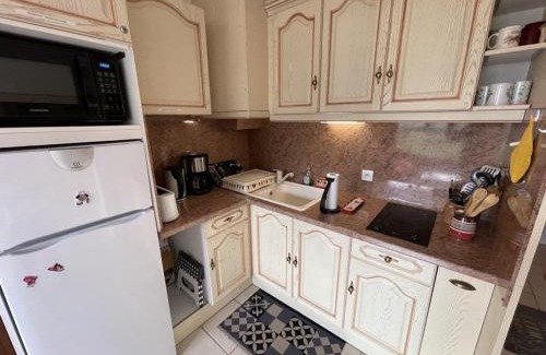 Laveissiere Apartment | Studio 4 Pers. au Centre de la Station avec Wifi et Animaux Admis - FR-1-787-73