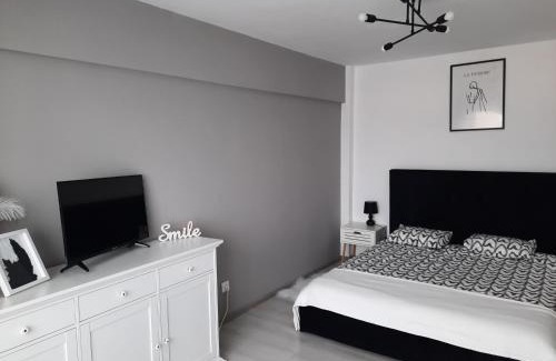 Fagaras Apartment | Studio ANA