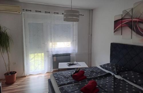 Brod-Posavina Apartment | Studio apartman BF