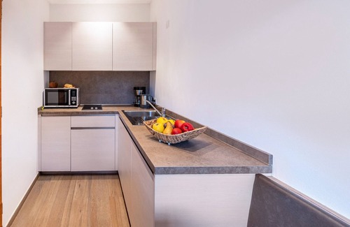 Sluderno Apartment | Studio Apartment 'Hausergut Topaz' with Mountain View, Shared Garden and Wi-Fi