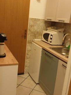 Artatore Apartment | Studio apartment in Mali Losinj with terrace, air conditioning, WiFi, washing machine 4913-2