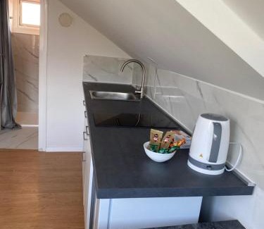 Zagreb Apartment | Studio Attic Villa Garden Zagreb Free Parking, Self Check In