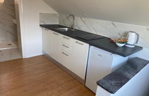 Zagreb Apartment | Studio Attic Villa Garden Zagreb Free Parking, Self Check In