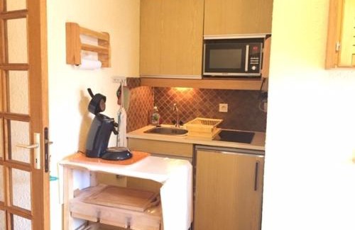 Risoul Apartment | Studio cabine avec accès direct aux pistes, balcon, et piscine - 4 couchages, Risoul 1850 - FR-1-330-518