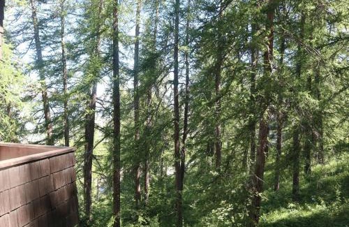 Les Orres Apartment | Studio calme en forêt, proche télésiège et commerces - FR-1-322-289