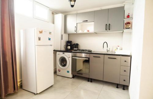 Hunedoara Apartment | Studio Central ”Dacul”