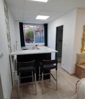 Chazelles-sur-Lyon Bed & Breakfast | Studio Chambre double RDC