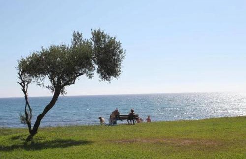 Prunete Apartment | Studio charmant à Cervione avec piscine partagée - 30 m²