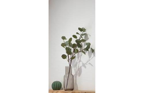 Capitole Apartment | STUDIO CHARMANT-CONFORT-HYPERCENTRE-METRO-WIFI