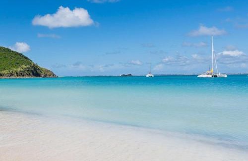 Anse Marcel Apartment | Studio cosy à Anse Marcel avec terrasse et climatisation - FR-1-734-47