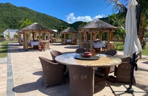 Anse Marcel Apartment | Studio cosy à Anse Marcel avec terrasse et climatisation - FR-1-734-47