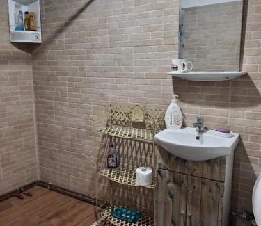 Turnu Ruieni House | Studio cu bucatarie , baie , scara interioara , etaj cu dormitor openspace , curte cu grill, terasa