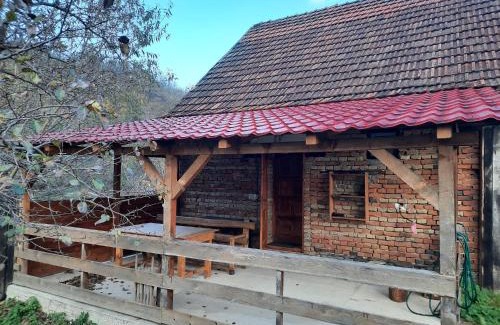 Turnu Ruieni House | Studio cu bucatarie , baie , scara interioara , etaj cu dormitor openspace , curte cu grill, terasa