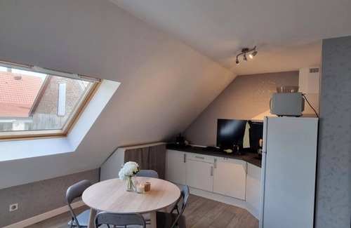 Plobsheim Apartment | Studio de la demi lune, near europapark, kempferhof golf course, strasbourg