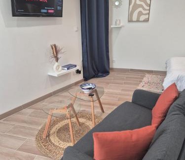 Faubourg Sud Apartment | Studio Dijon centre et facultés