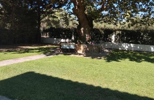 Ilida Apartment | Studio eva