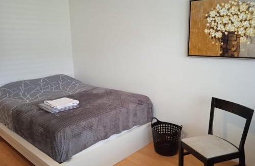 Zug Apartment | Studio flat in the heart of Zug, ideal for solo travellers