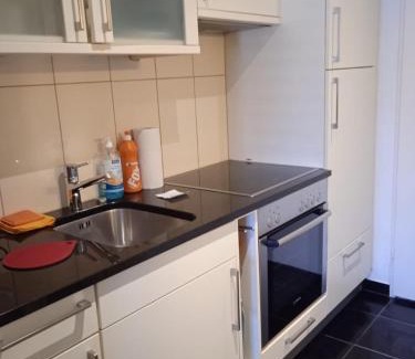 Zug Apartment | Studio flat in the heart of Zug, ideal for solo travellers