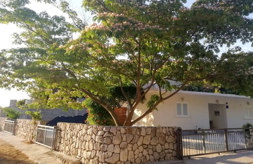 Kobas Apartment | Studio flat with terrace Cove Saplunara, Mljet (AS-4896-b)