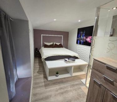 Le Fief-Sauvin Apartment | Studio