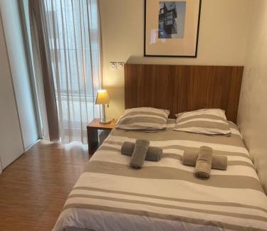 Perrache Apartment | Studio Harmonie Confluence Lyon City et piscine chauffante