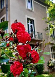 Allevard Apartment | Studio Hyper-Centre Villa Isabelle