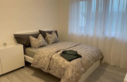 Raterschen Apartment | Studio in neuem EFH (2023)