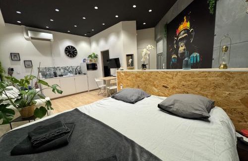 Charmettes - Bellecombe Apartment | Studio Jungle with breakfast and video projector