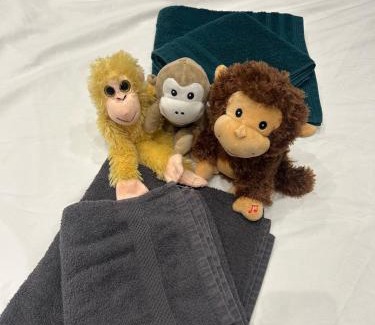 Charmettes - Bellecombe Apartment | Studio Jungle with breakfast and video projector